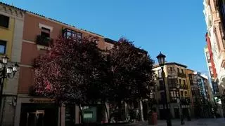 El tiempo en Zamora este fin de semana: bajan las temperaturas, antes de volver a subir con más fuerza