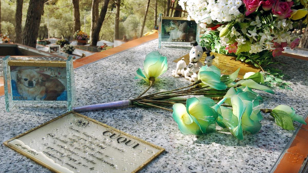 Vista de una de las tumbas del cementerio de animales domésticos de Arganda del Rey (Madrid)