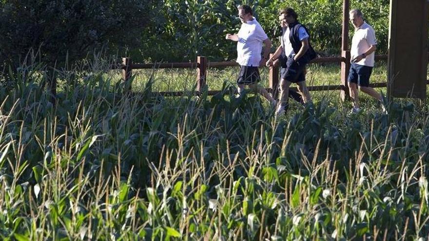 Rajoy y el triatleta Javier Gómez Noya animan a la práctica del deporte