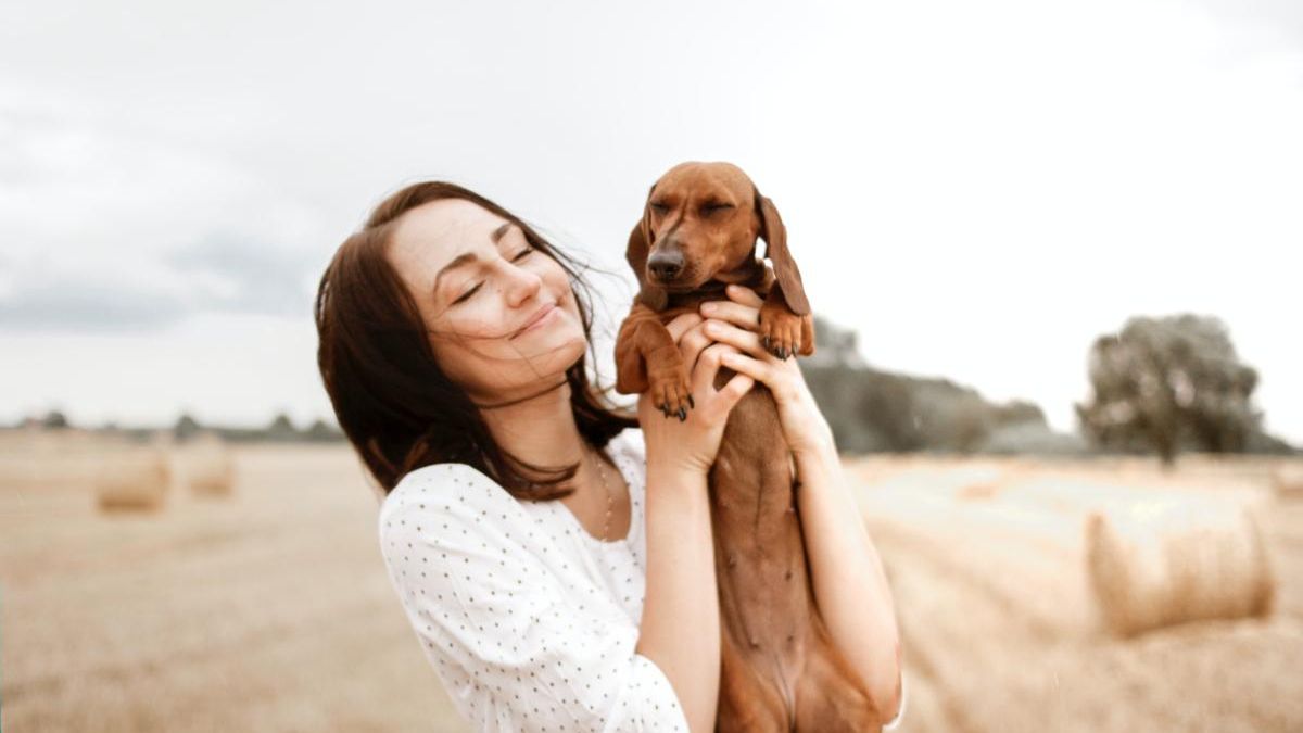 Por esta razón un año de humano son siete de perro