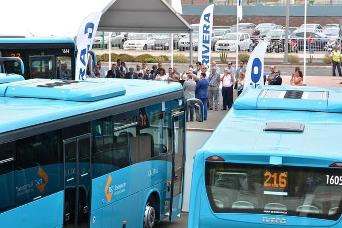 16 GUAGUAS DE GLOBAL 16 GUAGUAS DE GLOBAL