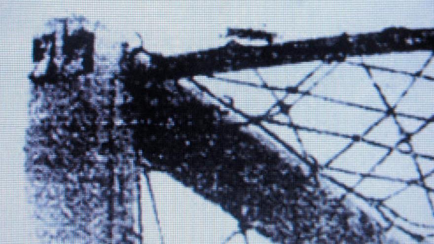 Foto de Martínez publicada por Diario de Las Palmas en la que se observa cómo una langosta se posa en el larguero de una de las porterías del antiguo Estado Insular el 17 de octubre de 1954.