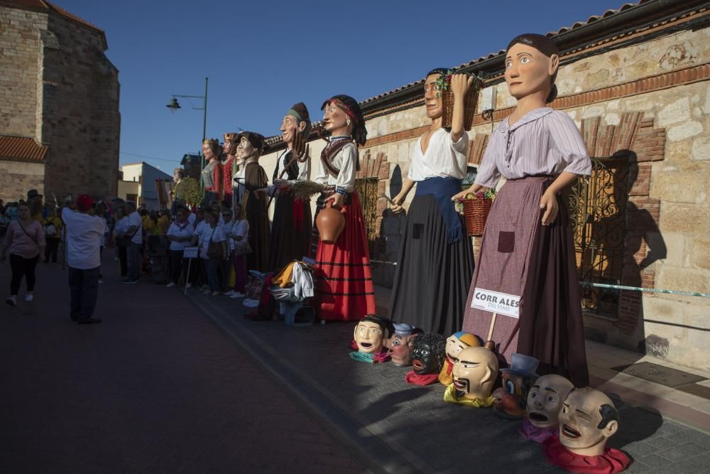 El II Encuentro de Gigantes y Cabezudos de Villaralbo, en imágenes