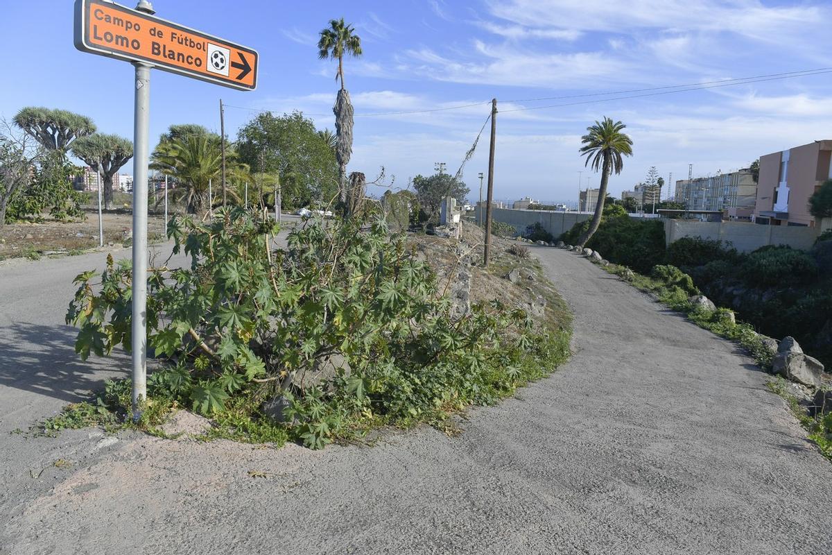Imágenes de la calle Jerónimo Saavedra, en Lomo Blanco
