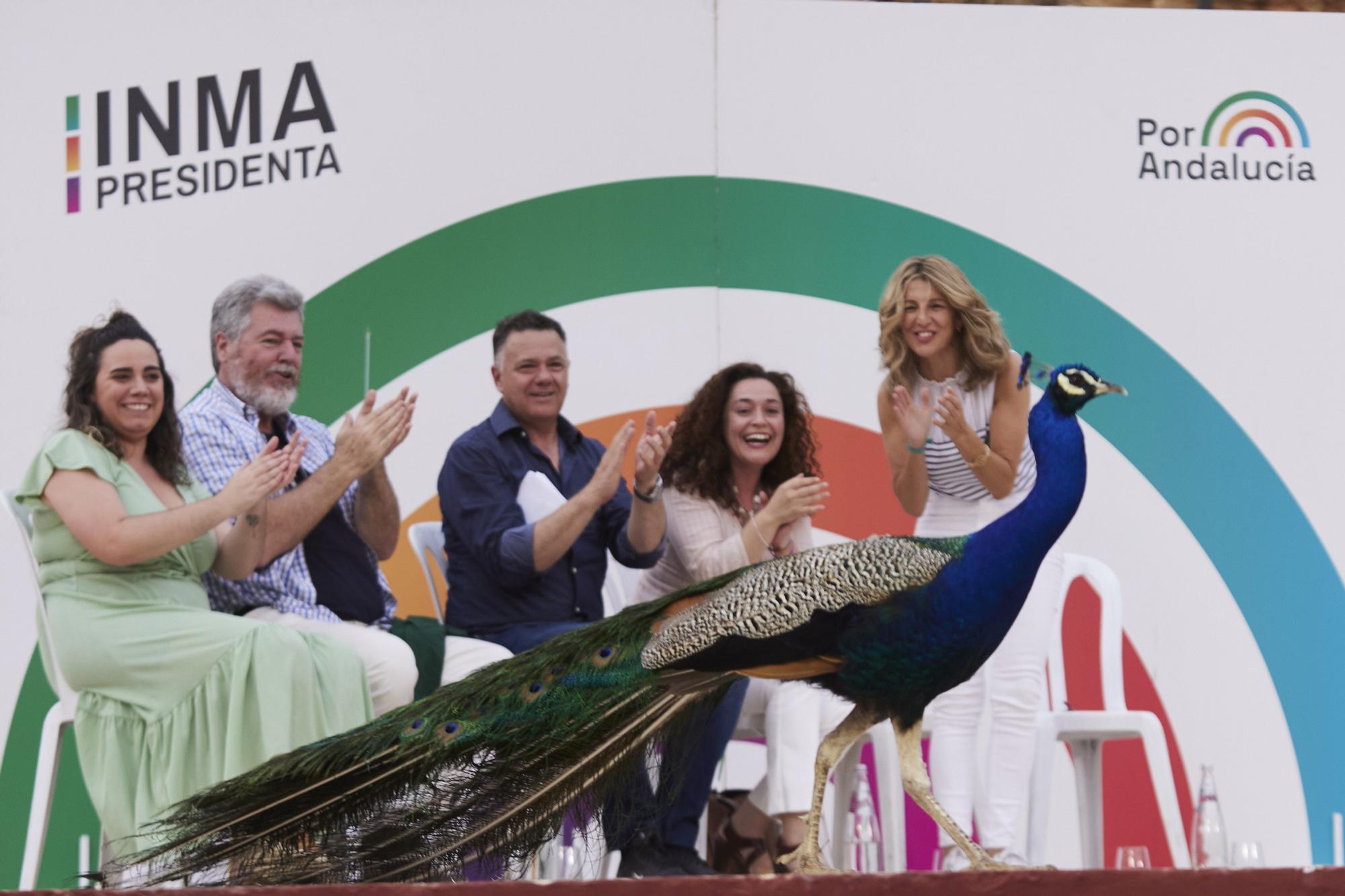 Acto central de la campaña electoral de Por Andalucía en las últimas elecciones al Parlamento andaluz