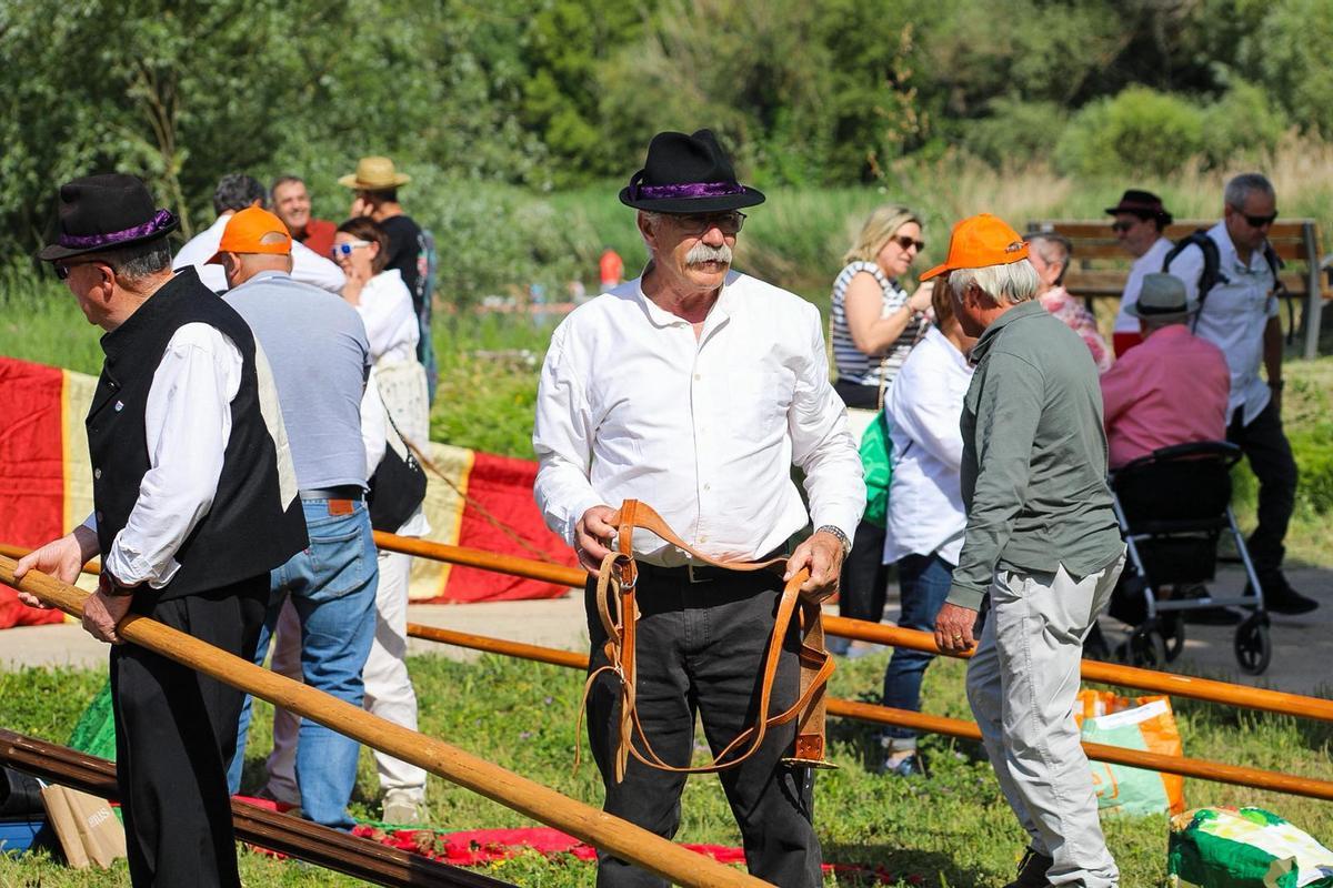 GALERÍA | Encuentro de pendones en las calles de Zamora