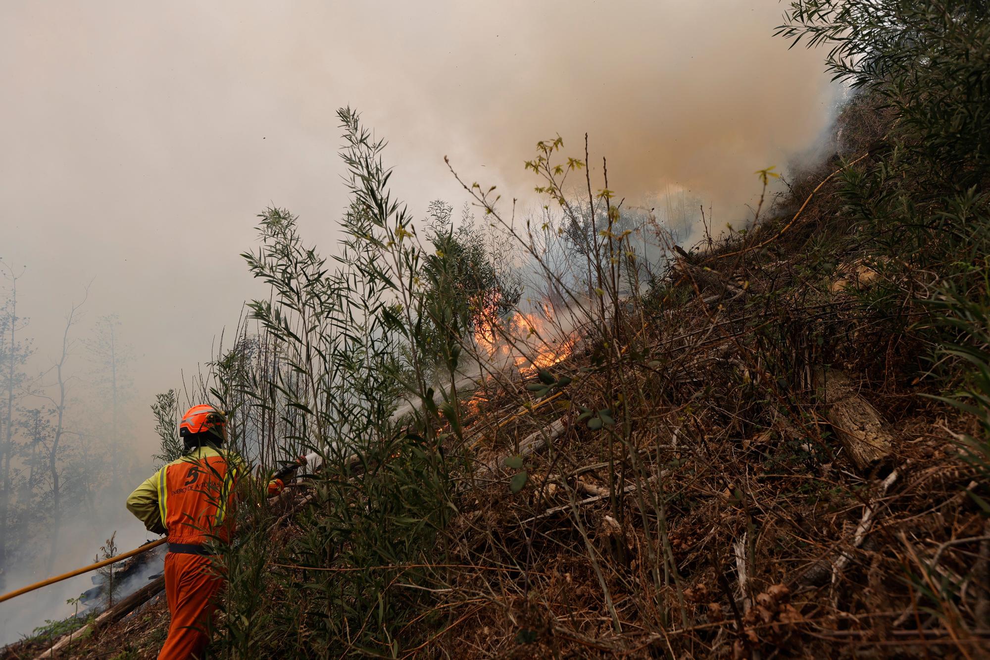 Dura lucha contra los incendios de Tineo y Valdés