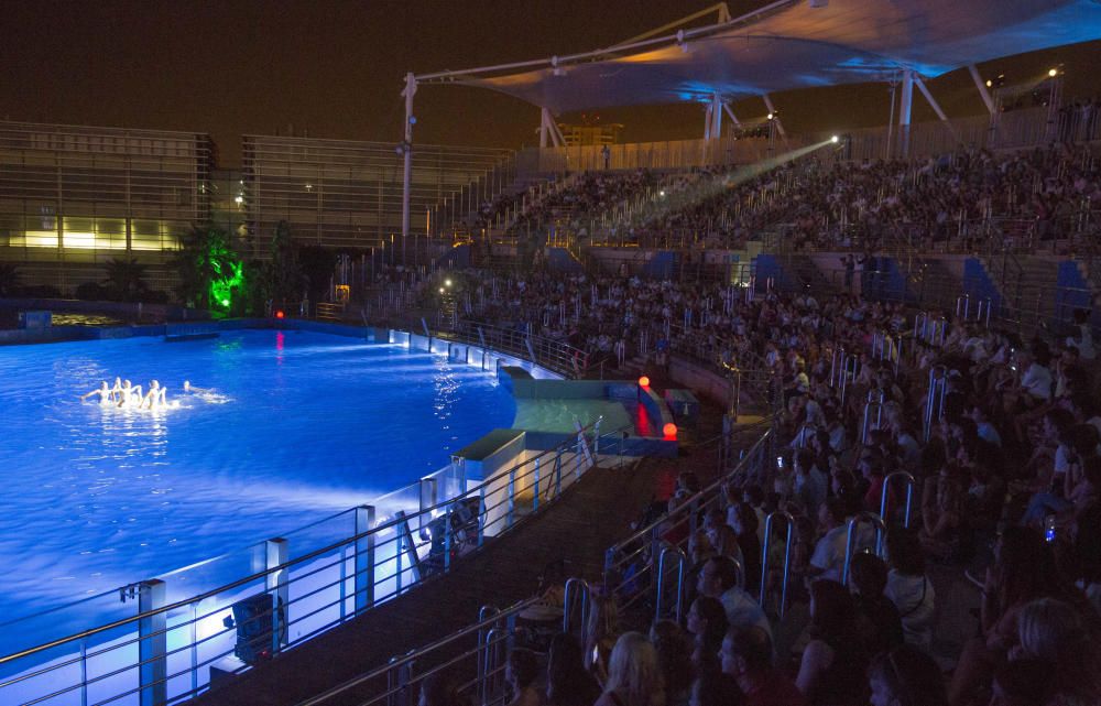 Estreno de las Noches de l'Oceanogràfic