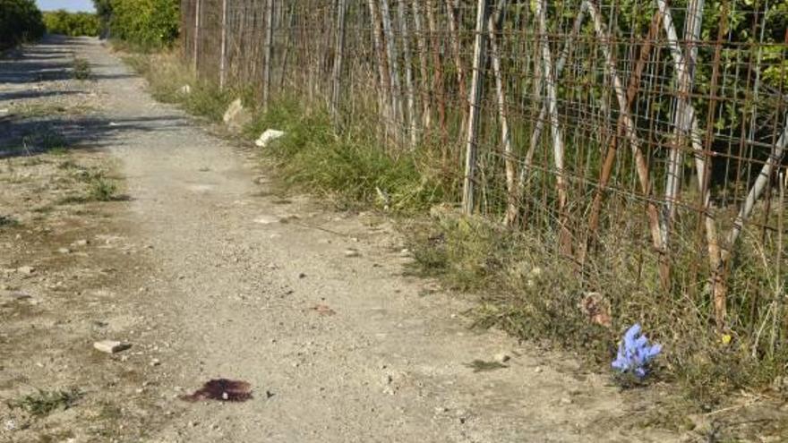 Investigan la muerte de un joven hallado en un campo de Villanueva de Castellón