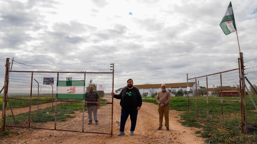 La Junta opta &quot;preferentemente&quot; por enajenar Somonte en favor del Ayuntamiento de Palma del Río