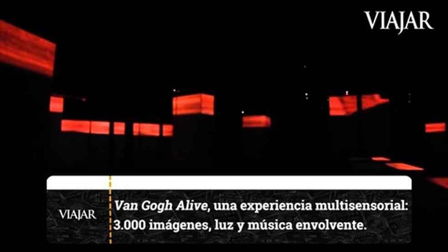 Los sueños de Van Gogh al descubierto en Sevilla