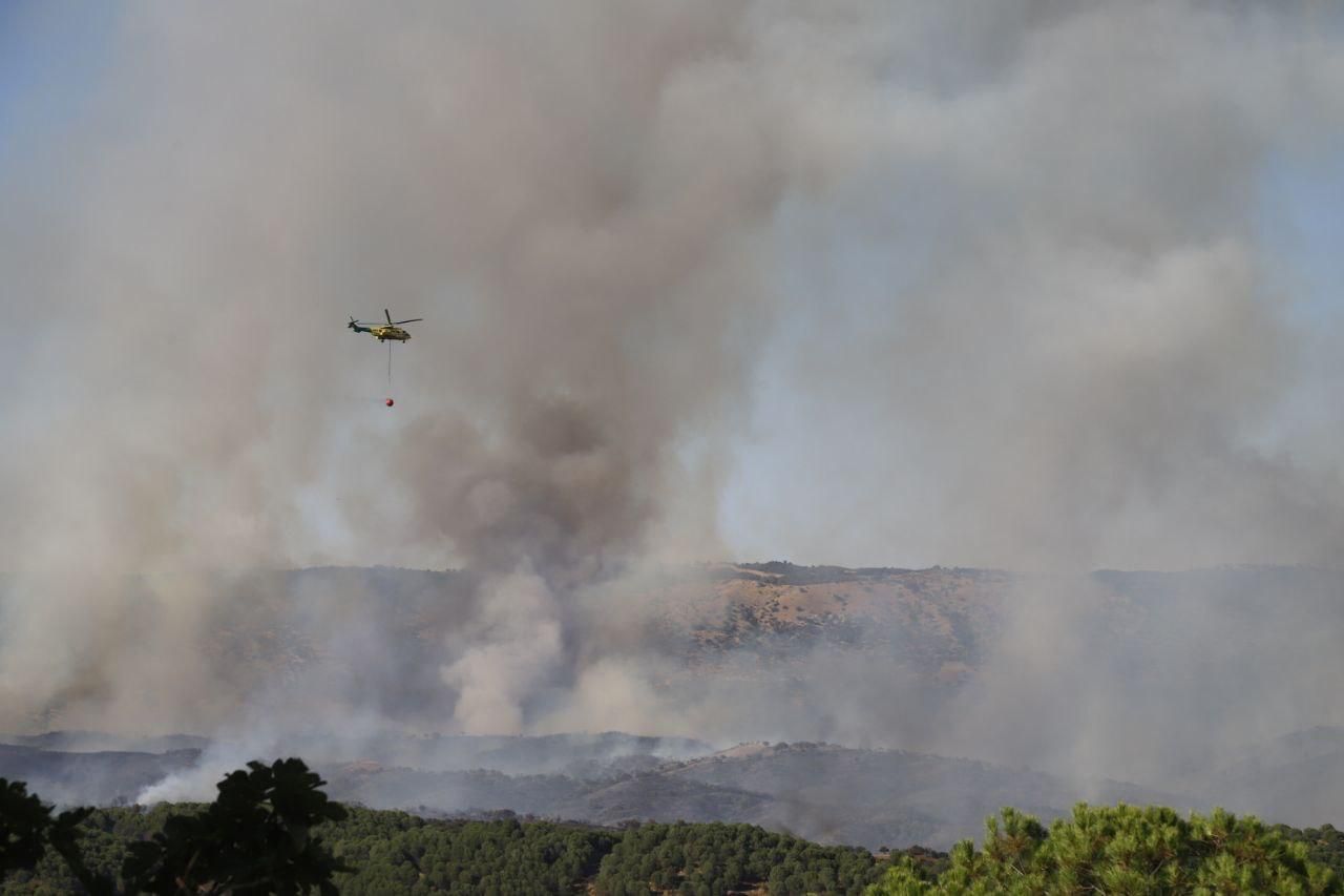 Incendio forestal en Cerro Muriano