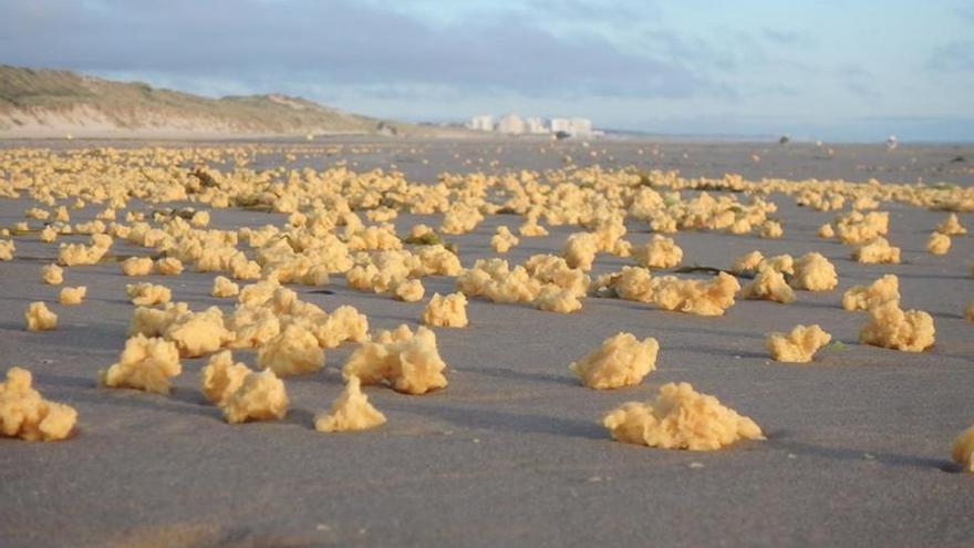 Miles de bolas amarillas inundan la costa francesa