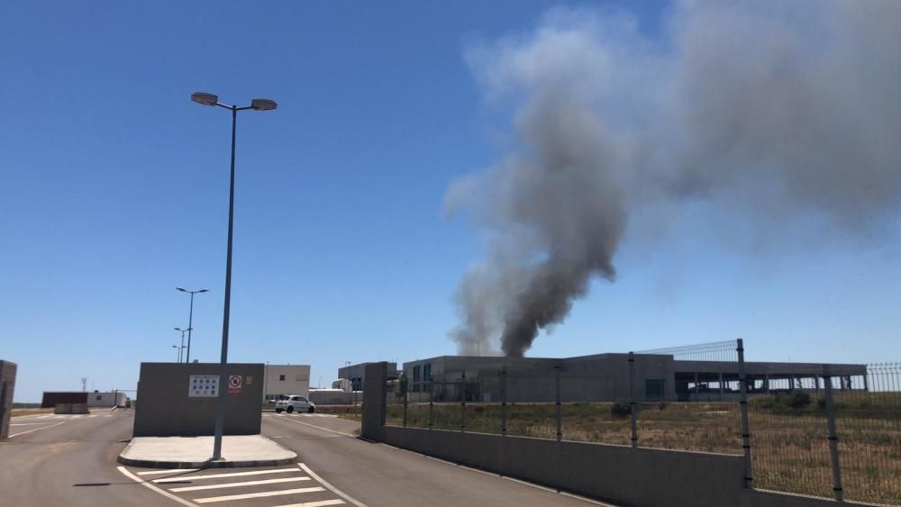 Incendi a l''abocador de Pedret i Marzà