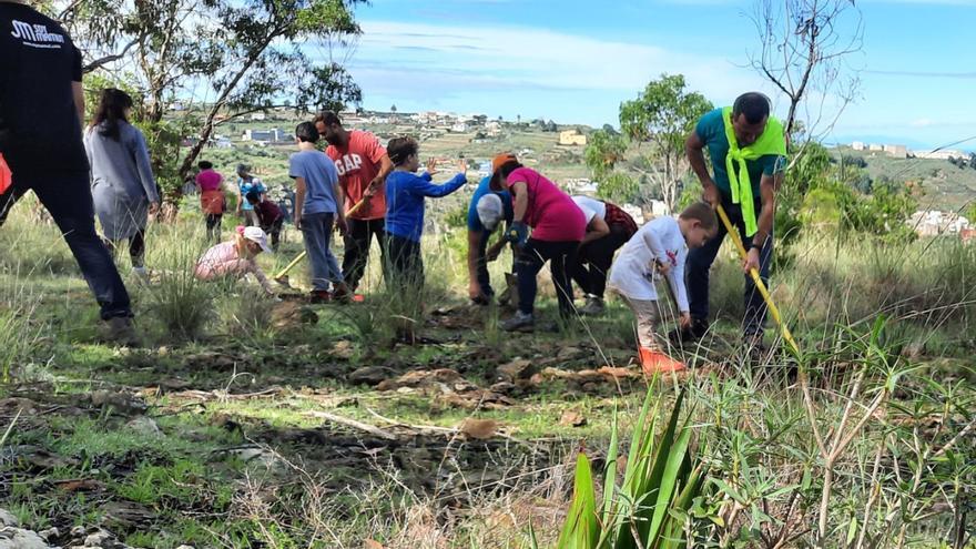 Arucas celebra el Día Mundial del Árbol