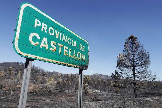 Las imágenes del incendio forestal en el Alto Mijares