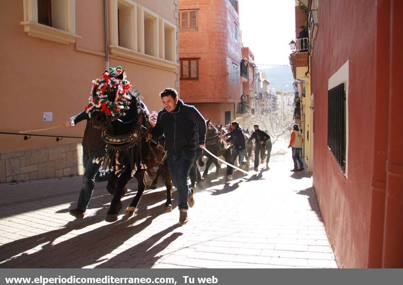 GALERÍA DE FOTOS -- Sant Antoni en la comarca de Els Ports