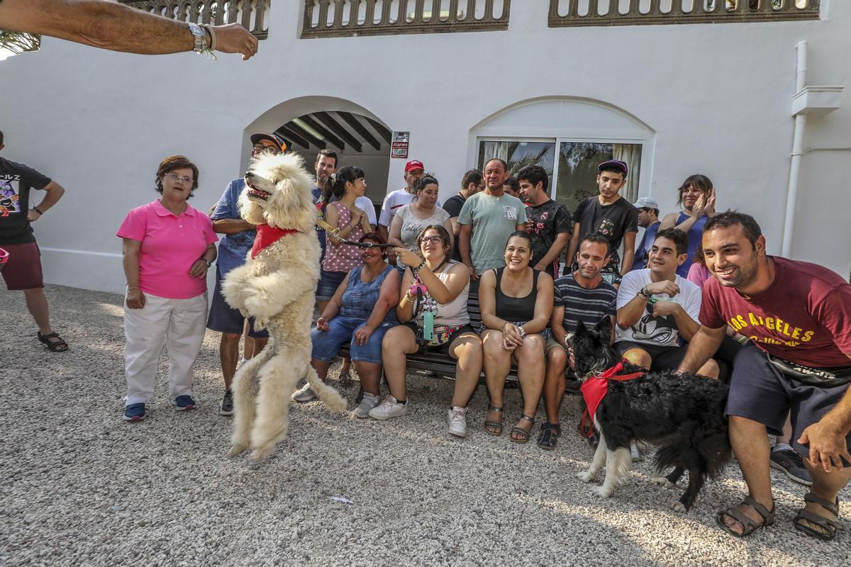 Un perro salta para regocijo de los usuarios de Integra-T.