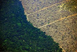 La crisis climática podría desencadenar la próxima pandemia