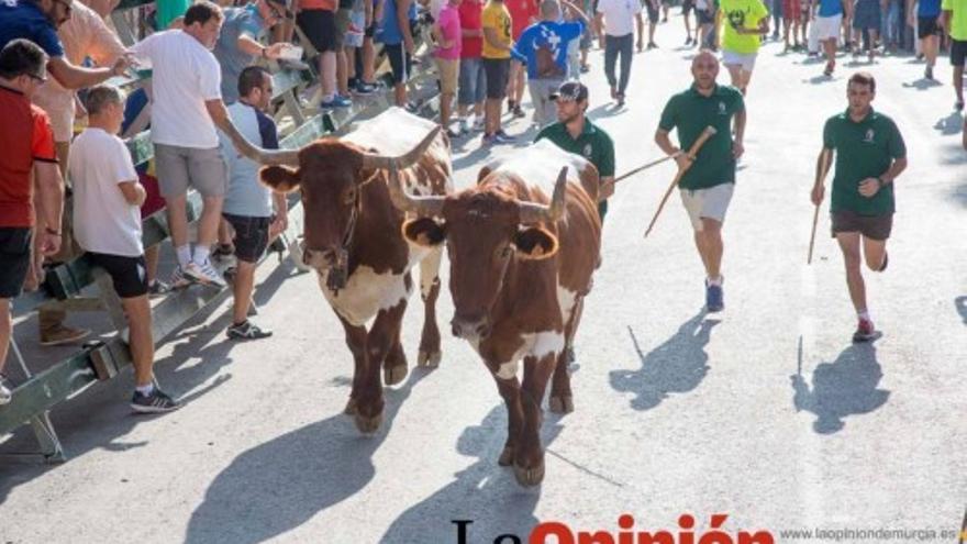 Segundo encierro de la Feria del Arroz de Calasparra