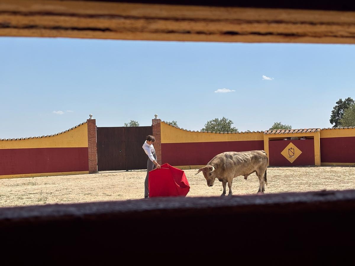 GALERÍA | Fiesta campera con el novillero Pepe Luis Cirugeda en "Toros Villalpando"