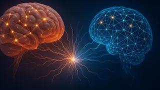 Nace la IA social: cerebros y algoritmos aprenden a socializar utilizando el mismo lenguaje neuronal