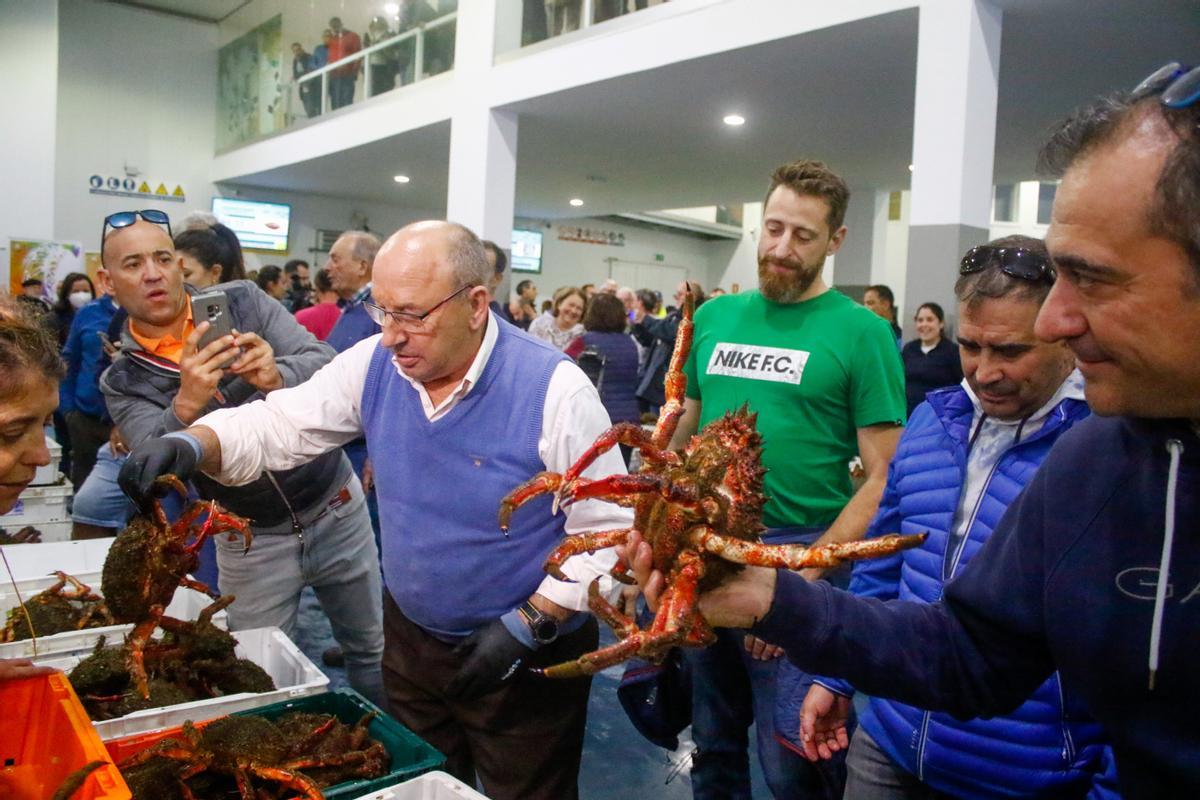 Compradores seleccionando centollo en la lonja grovense.