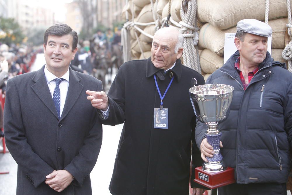 Sant Antoni en Valencia 2017