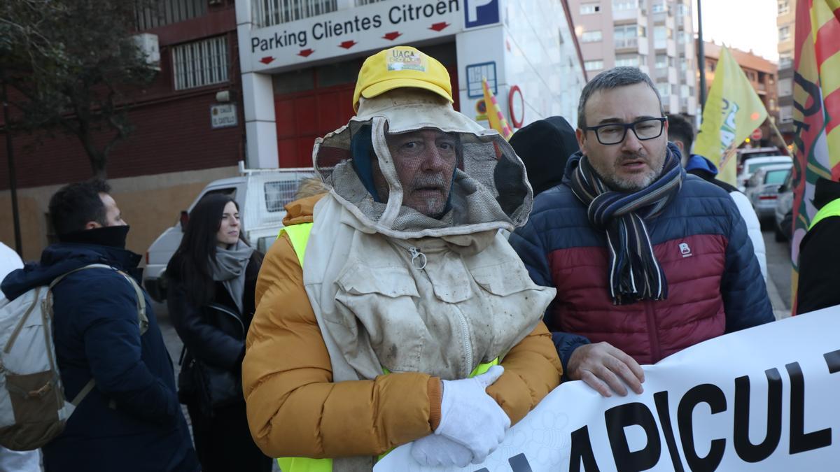 Varios apicultores, con sus trajes de trabajo, han protestado este viernes frente a La Aljafería.