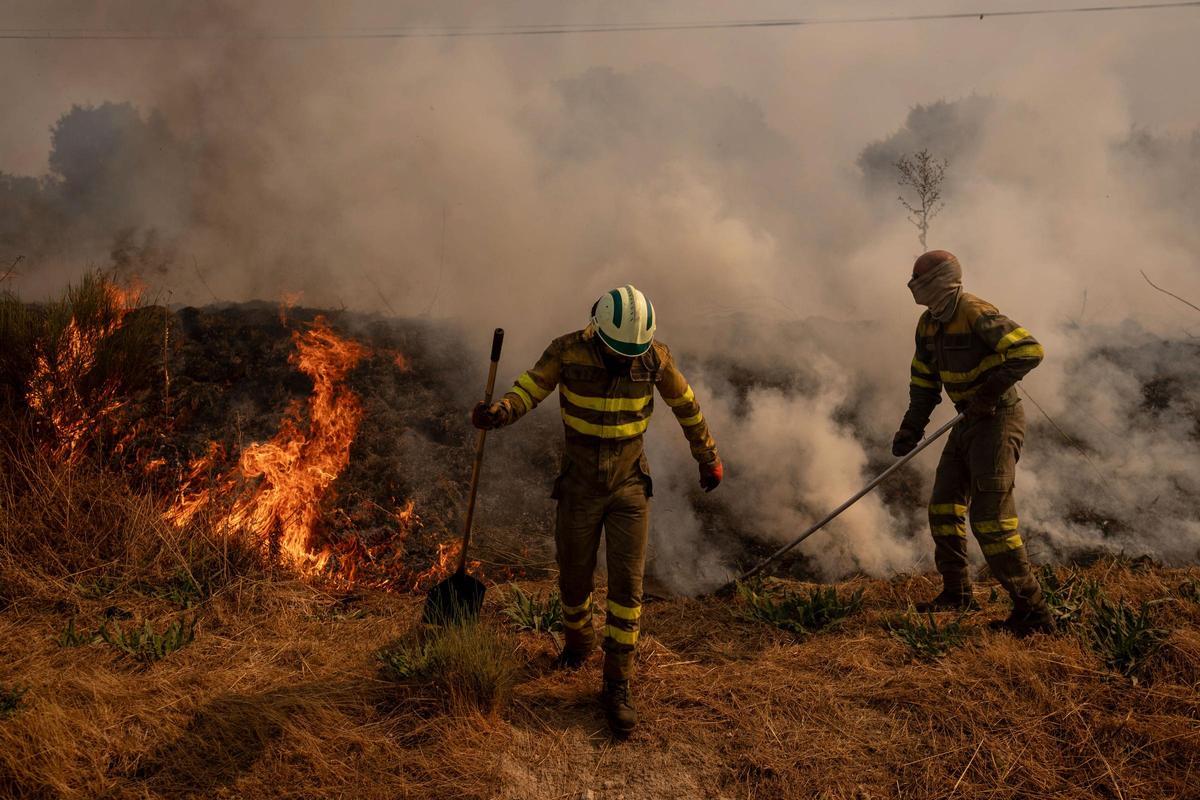 Brigadistas realizando labores de extinción en el incendio de Oímbra (Ourense), hace un año.