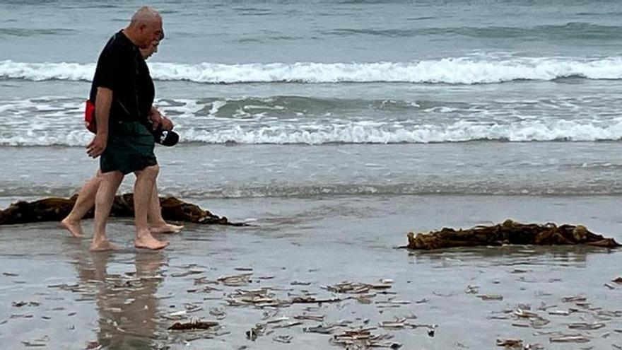 El calentamiento del mar, posible causa de la mortalidad masiva de navajas en Galicia