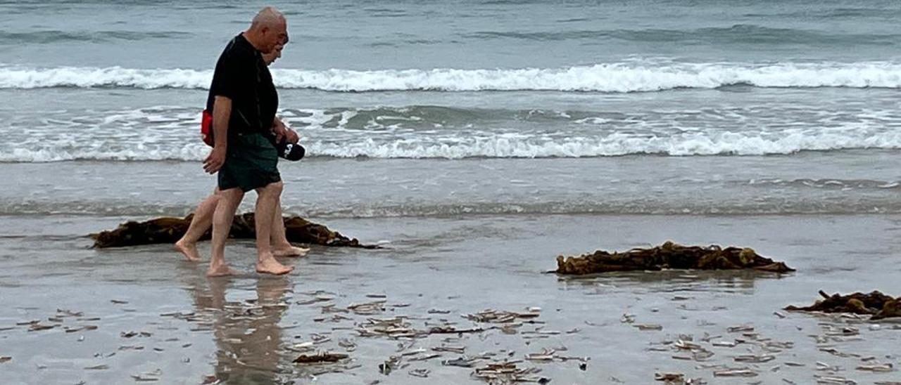 Se investiga la aparición de una gran cantidad de navajas muertas en la playa de A Lanzada