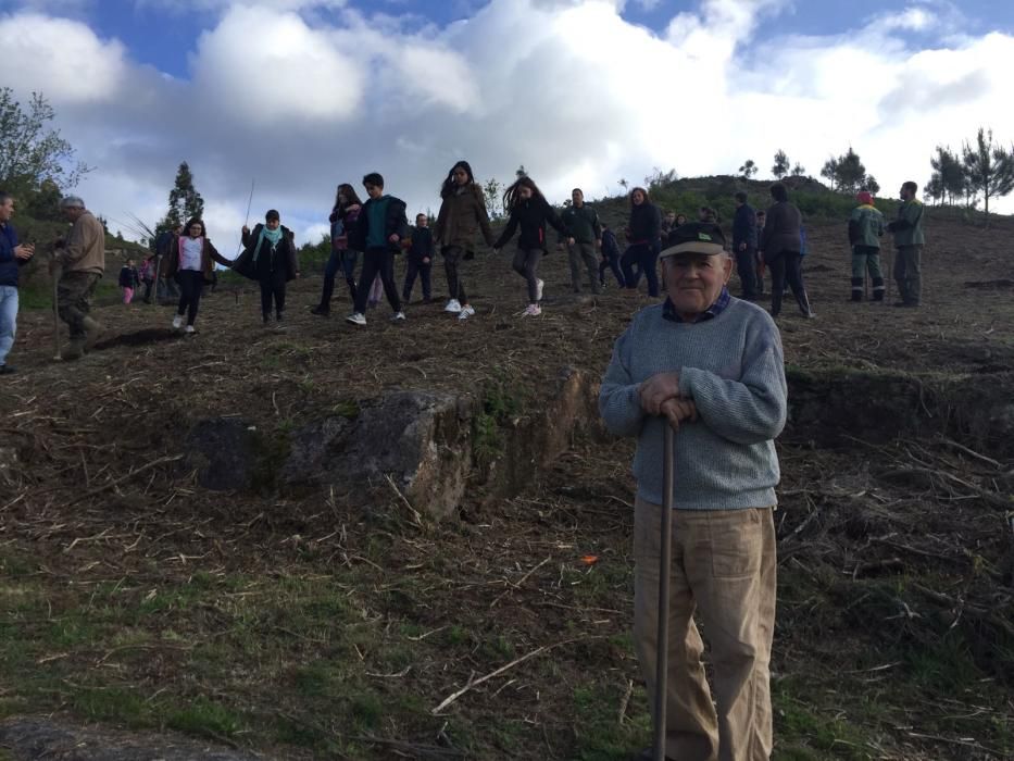 Escolares de Camos repueblan el monte