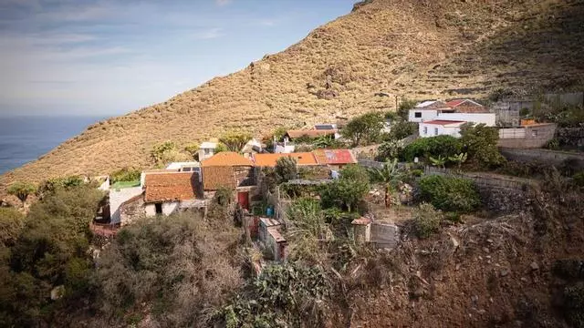 El Draguillo de Anaga