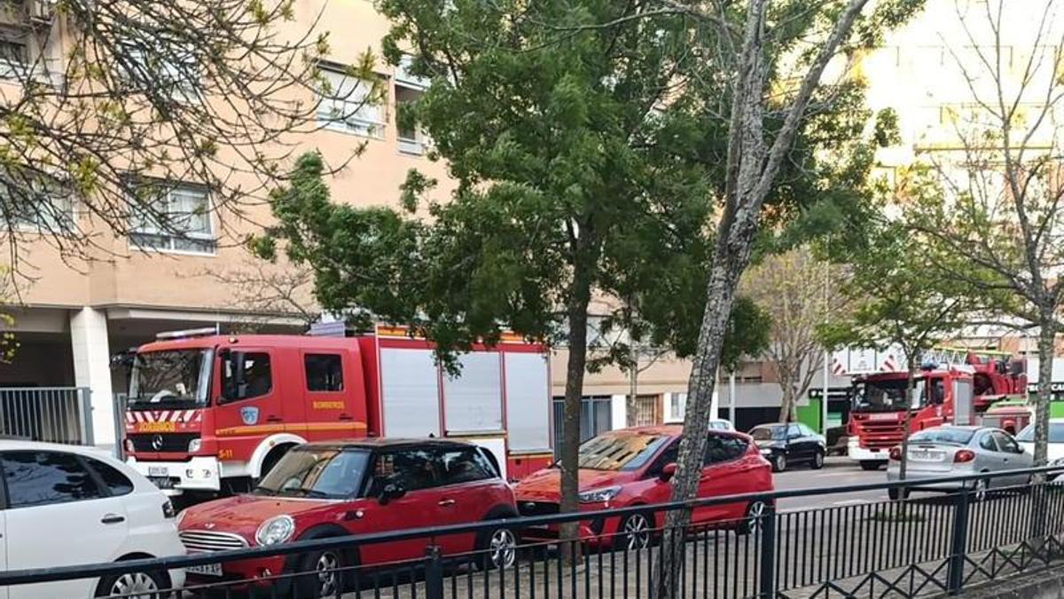 Los bomberos, en la avenida de los Pilares.