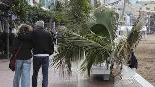 Paseos por Las Canteras, compras en Triana: Las Palmas de Gran Canaria vuelve a la calle tras el paso de Emilia