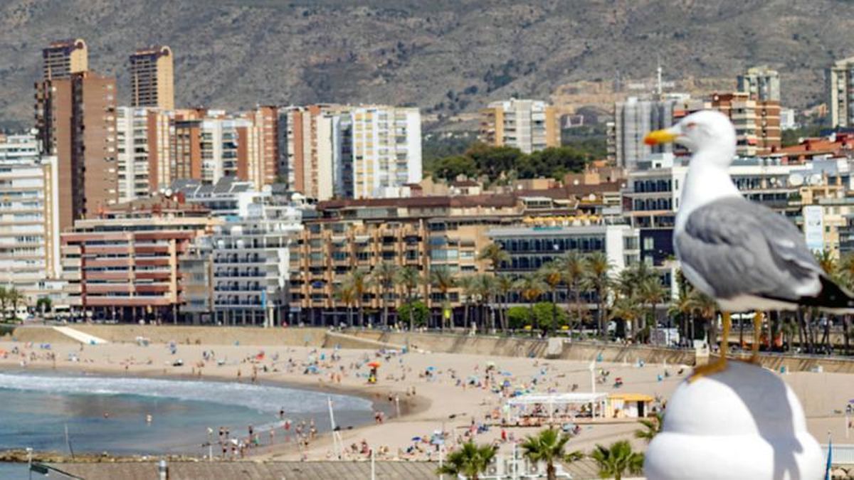 Vista general de la bahía de Benidorm