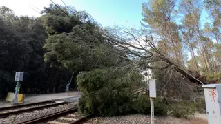 Quatre hores aturats: l'odissea dels passatgers d'un R11 de Rodalies a l'Empordà