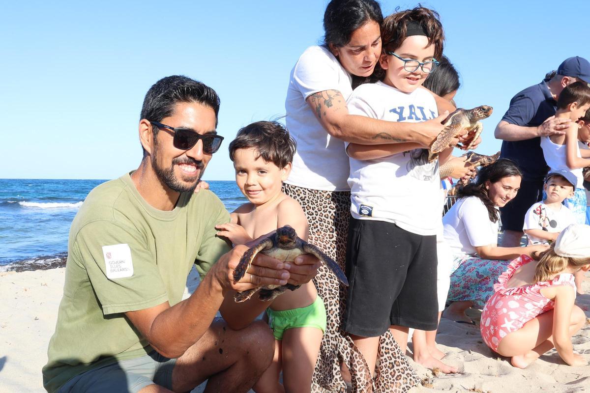 Las tortugas de Ibiza vuelven al mar tras un año Las tortugas de Ibiza vuelven al mar tras un año