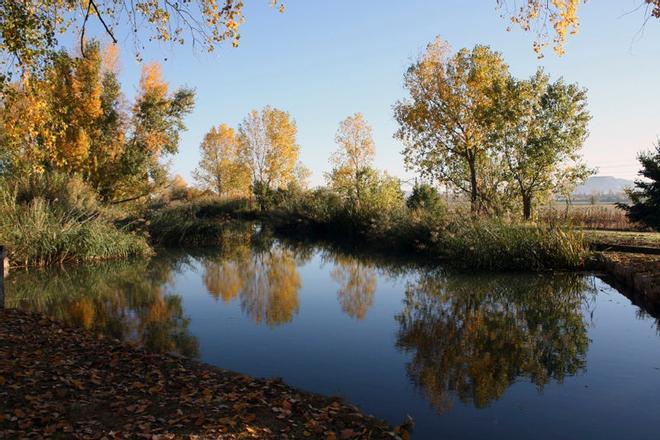 Canal de Castilla