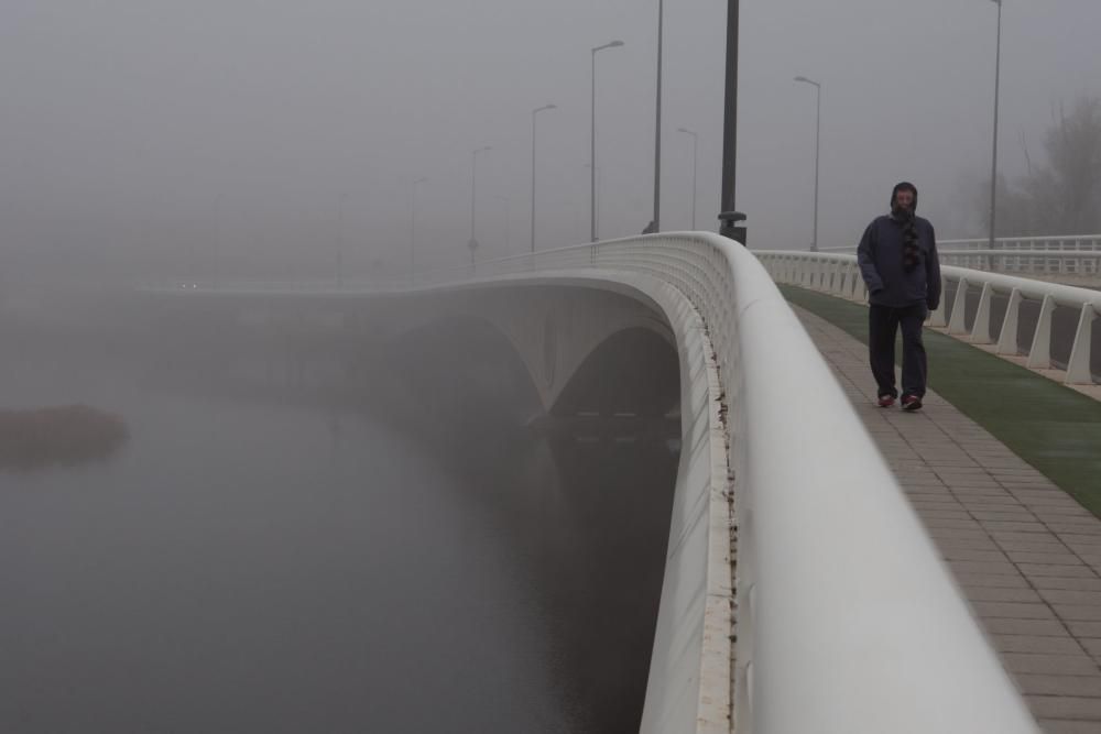 Zamora, cubierta de blanco por la cencellada