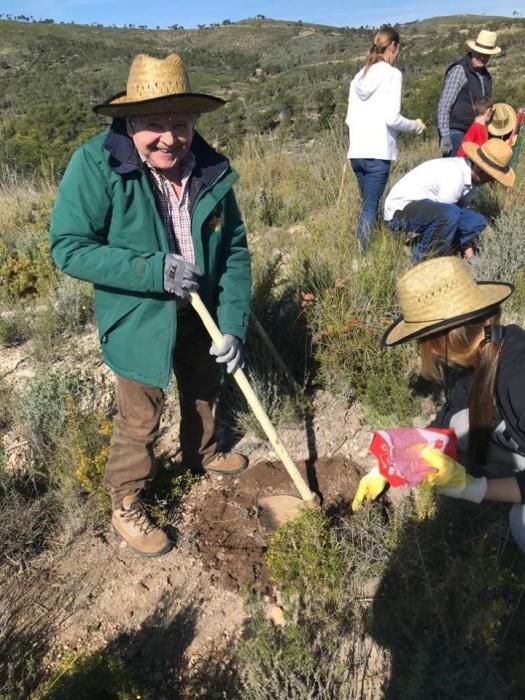 La falla Convento Jerusalén hace una repoblación forestal en Lliria