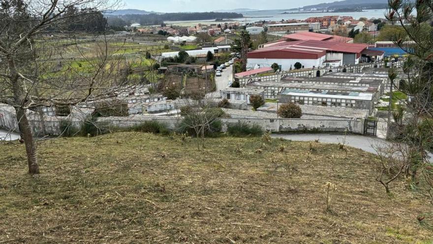 Estado del monte de Cambados tras la limpieza. | FdV