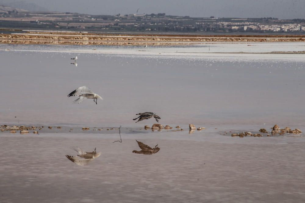 Grupo Salins ha puesto en marcha los itinerarios turísticos al interior de la salinera esta semana