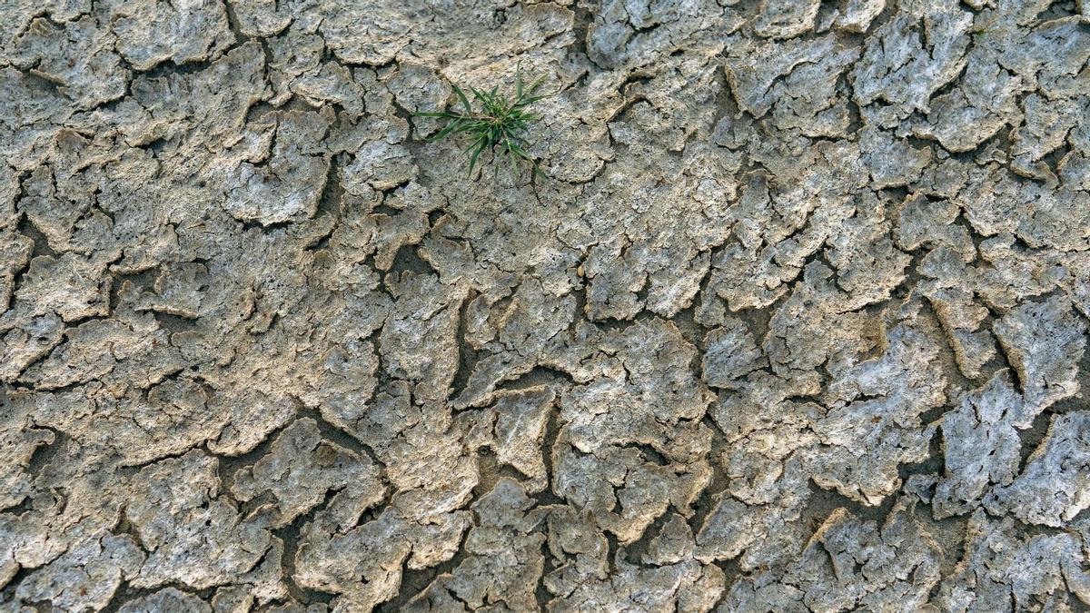 Efectos de la sequía que padece Europa en la cuenca del río Danubio a su paso por Rumanía.