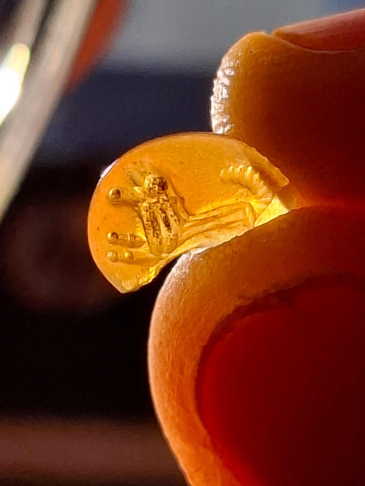 Una gema decorada con la imagen de un animal, hallada este verano.