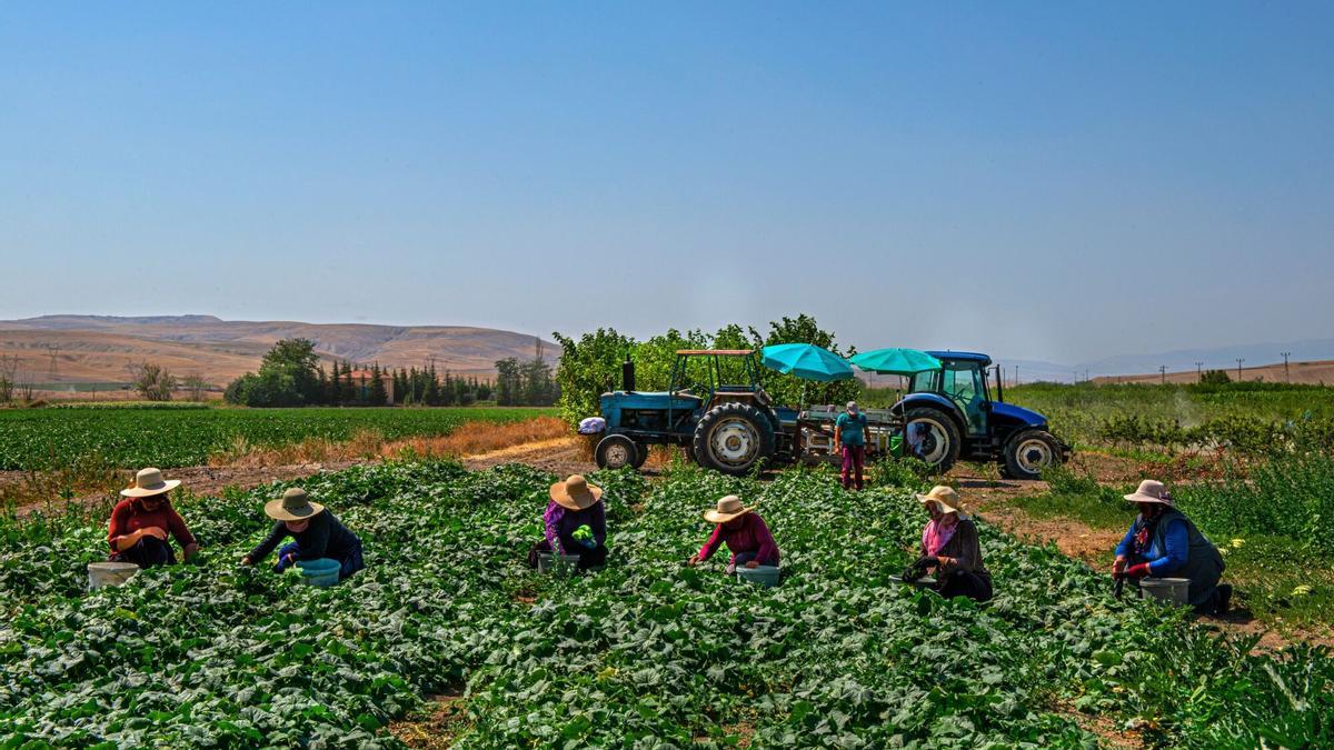 Expo AgriTech se celebra bajo el lema &quot;Innovar, la nueva forma de cultivar&quot;.
