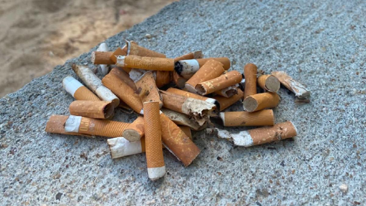 Colillas amontonadas por una ciudadana en el parque León Felipe de Zamora.