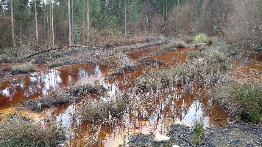 Contaminación de agua por la antigua Mina de Touro.