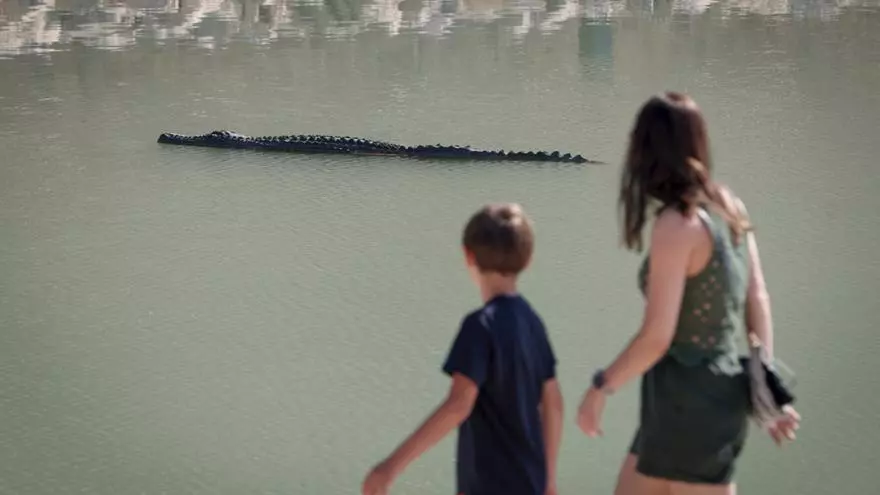 Así es la escultura ‘El Drac de na Coca’ instalada en el lago del Parc de la Mar